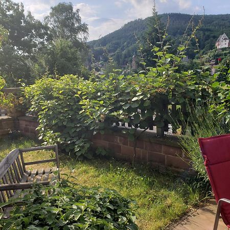 Apartament Panorama-Blick Miltenberg, 3 Pers., Zentr., Am Main, Terrasse, Bootverleih, P Zewnętrze zdjęcie