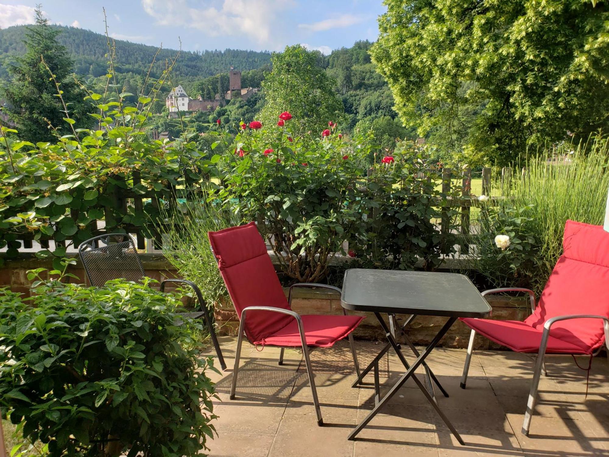 Apartament Panorama-Blick Miltenberg, 3 Pers., Zentr., Am Main, Terrasse, Bootverleih, P Zewnętrze zdjęcie