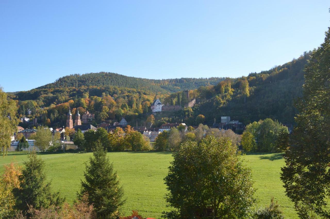 Apartament Panorama-Blick Miltenberg, 3 Pers., Zentr., Am Main, Terrasse, Bootverleih, P Zewnętrze zdjęcie