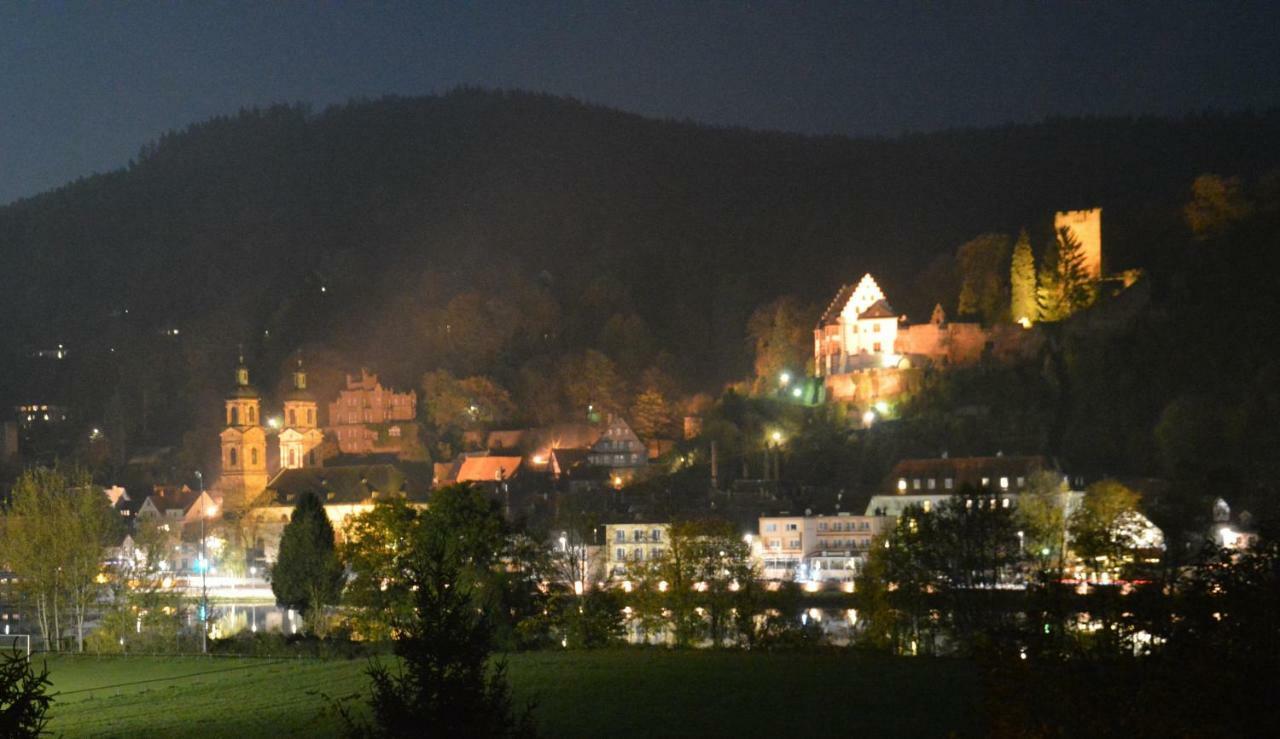 Apartament Panorama-Blick Miltenberg, 3 Pers., Zentr., Am Main, Terrasse, Bootverleih, P Zewnętrze zdjęcie