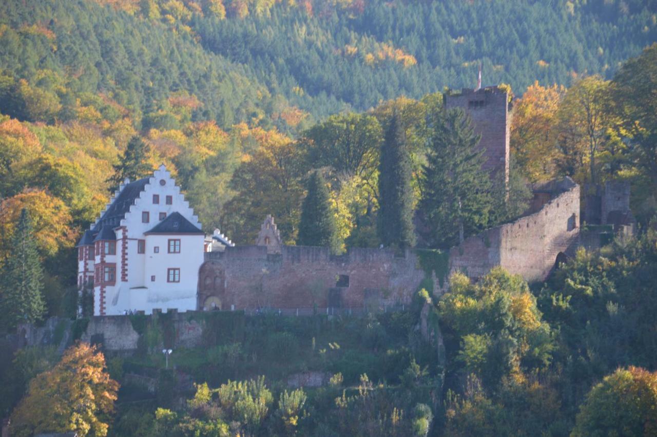 Apartament Panorama-Blick Miltenberg, 3 Pers., Zentr., Am Main, Terrasse, Bootverleih, P Zewnętrze zdjęcie