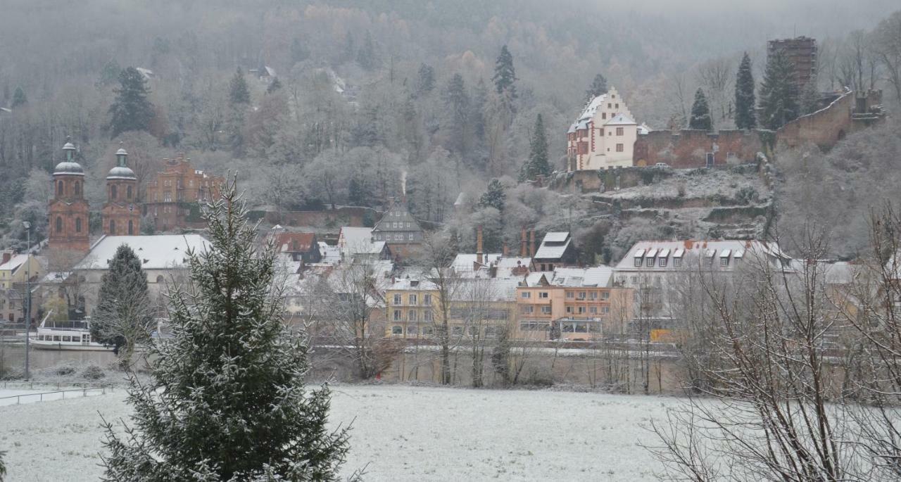 Apartament Panorama-Blick Miltenberg, 3 Pers., Zentr., Am Main, Terrasse, Bootverleih, P Zewnętrze zdjęcie