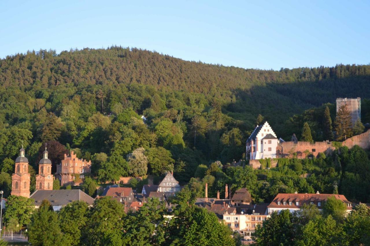 Apartament Panorama-Blick Miltenberg, 3 Pers., Zentr., Am Main, Terrasse, Bootverleih, P Zewnętrze zdjęcie